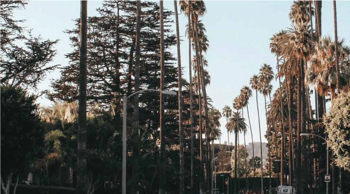 Discover Los Angeles